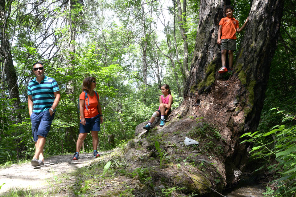 Randonn&eacute;e en mountain bike sur les alpages de Thyon